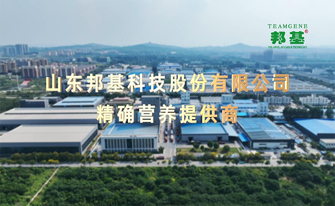 山东AG集团科技股份有限公司官方网站