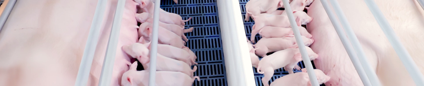 山东AG集团科技股份有限公司官方网站